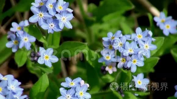 {百家樂}(野花视频免费中文高清5G) {百家樂}(野花视频免费中文高清5G)
